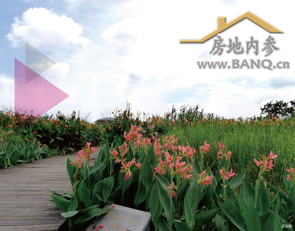 丰田效应发酵：花半里营销中心周日开放 -- 半求·房地内参 为房地产服务！