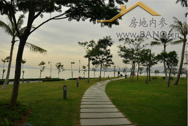 西乡滨海风情小镇要来了! -- @房地内参 半求工