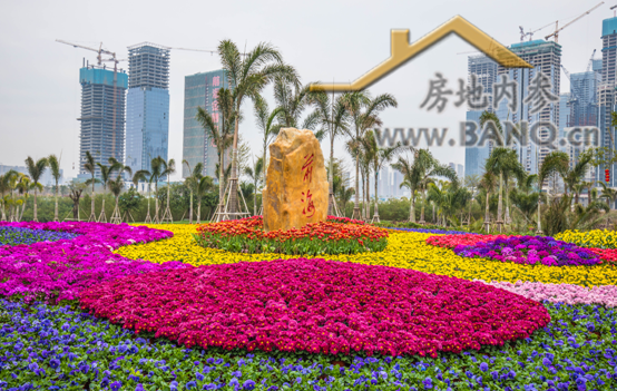 央视新闻再度聚焦,与雄安并列千年大计的粤港